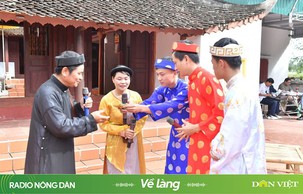 Về làng “cá gỗ” Quỳnh Đôi