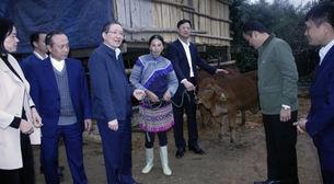 Chủ tịch Hội Nông dân Việt Nam Lương Quốc Đoàn trao tặng bò sinh sản cho hộ nghèo ở Lào Cai
