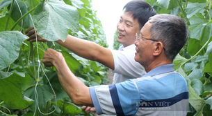Chương trình Tự hào Nông dân Việt Nam 2023 với chuỗi các sự kiện đặc biệt "do nông dân, vì nông dân"