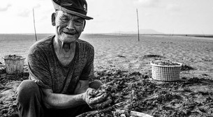 Thủy triều rút, ra bãi cạn này ở Cà Mau xem nông dân cào bắt con đặc sản bình dân, ăn bổ dưỡng