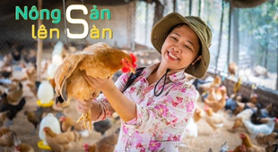Cô nông dân Sóc Sơn với hành trình hiện thực hóa ước mơ xây nông trại xanh - cung cấp thực phẩm sạch