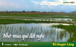 Nhớ mùa quê đất nghỉ