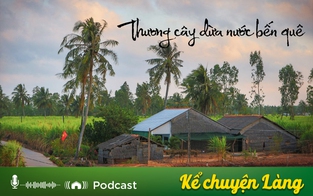 Kể chuyện Podcast: Thương cây dừa nước bến quê