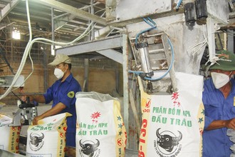 Phân bón Bình Điền (BFC) chốt ngày chia cổ tức lần cuối năm 2022 bằng tiền, tỷ lệ 14%