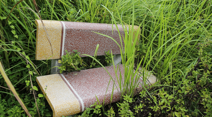 Hà Nội: Cây chết khô, ghế gãy, cỏ mọc um tùm tại công viên trung tâm quận Hoàng Mai