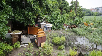 “Giậm chân tại chỗ” 7 năm, một hồ nước giữa trung tâm Hà Nội bị xâm lấn, ô nhiễm nặng nề