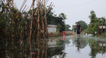 Nông dân ngoại thành Hà Nội khốn khổ vì nước ngập tàn phá hoa màu 4 ngày không rút