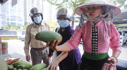 Sơn La đem xoài nặng cả cân và nông sản đặc biệt đến với người dân Thủ đô