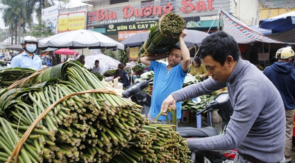 Chợ lá dong gói bánh chưng lâu đời nhất Hà Nội nhộn nhịp trước Tết