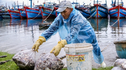 Biển gần bờ Đà Nẵng có vô số cá ngon, sau bão Trà Mi, dân ra đánh bắt, xách túi lớn túi nhỏ, bán nhanh