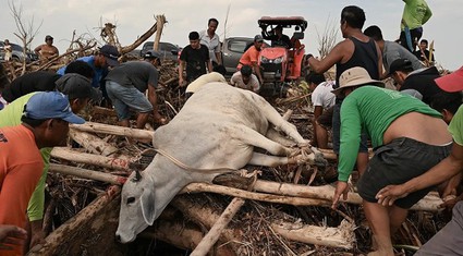 Sau khi bị bão Usagi tàn phá, Philippines chuẩn bị đón cơn cuồng phong mới