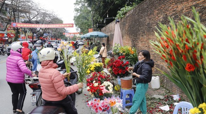 Khám phá phiên chợ ngày 30 Tết dưới chân thành cổ gần 500 năm tuổi ở Tuyên Quang