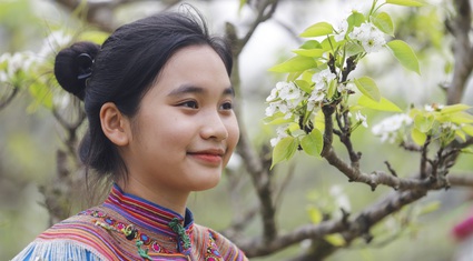 Cao nguyên Bắc Hà hút khách bởi loài hoa trắng tinh khôi tựa pha lê 