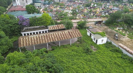 Chợ hơn 20 tỷ cạnh nghĩa trang bị bỏ hoang, cây cối mọc thành "rừng" ở Hà Nội