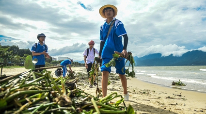 Cảm phục những bạn trẻ "đội nắng" vớt bèo dạt vào bờ biển Đà Nẵng sau bão số 4