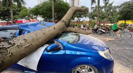 Nhiều ôtô bị đè bẹp rúm sau cơn mưa lớn kèm gió cực mạnh ở Hà Nội