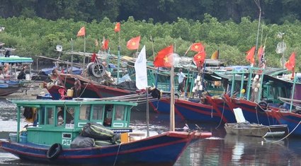 Siêu bão Yagi sắp đổ bộ, ngư dân Quảng Ninh hối hả neo đậu tàu thuyền