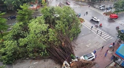 Bão Yagi ở Hà Nội, cây đổ khắp đường phố, một số nơi mất điện