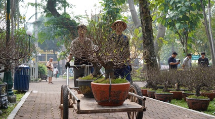 Hoa khoe sắc khắp công viên trung tâm TP.HCM, người bán mong mỏi khách mua sớm để được... ăn Tết