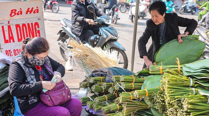 Chợ lá dong lâu đời nhất Hà Nội những ngày cuối năm nhộn nhịp “người mua kẻ bán”