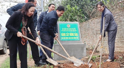 Hoà Bình: Phát động phong trào thi đua "Tết trồng cây"