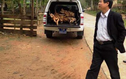 Vụ dùng xe công chở gỗ lậu: Phạt hành chính 9 triệu đồng