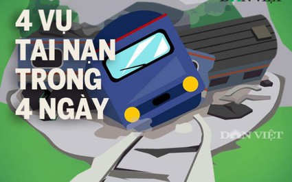 Infographic: “Ai còn tin vào đường sắt, ai còn dám đi tàu?”