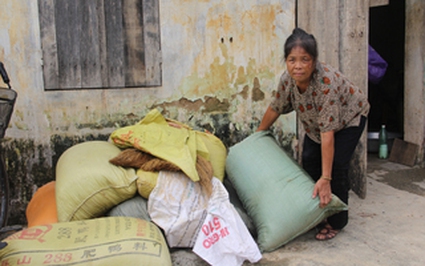 Nông dân trắng tay sau lũ