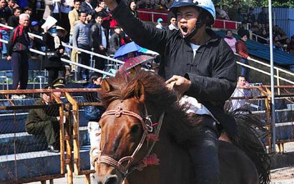 Hội đua ngựa Báo NTNN-Phú Sơn: Mãn nhãn cuộc đấu “siêu cúp”