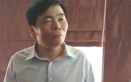 Đề nghị truy tố vợ chồng luật sư Trần Vũ Hải