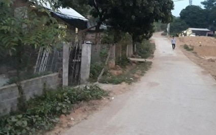 Hai bị can vụ giết tài xế grab tại Hà Nội và tuổi thơ giông bão