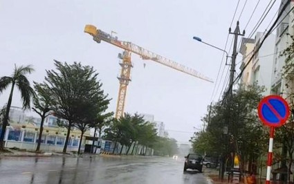 Tháp cẩu quay như chong chóng trong bão ở Bình Định: Bình thường?!