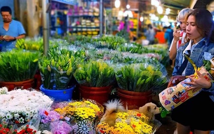 Top những chợ hoa ngày Tết nổi tiếng ở Sài Gòn nhộn nhịp và độc đáo
