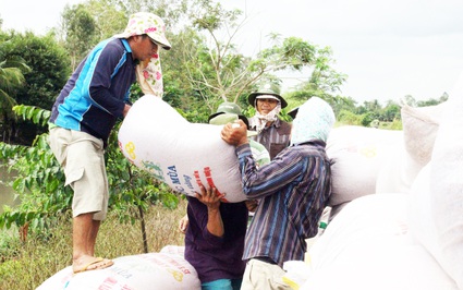 Châu Âu tăng tốc mua một loại hạt thơm nức của Việt Nam với giá tới 781 USD/tấn