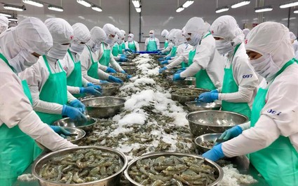 Mỹ, Trung Quốc thu mua lượng lớn, Việt Nam đã thu 8,5 tỷ USD nhờ bán đủ loại cá, tôm