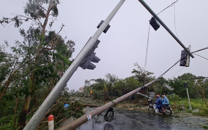 Ảnh ấn tượng tuần: Bão Noru gây nhiều thiệt hại ở miền Trung và phá rừng thông ở Lâm Đồng