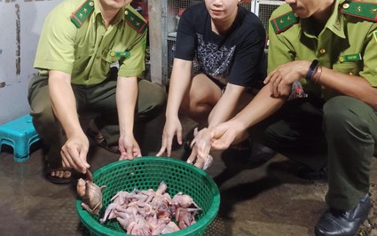 Thừa Thiên Huế: Bắt quả tang quán ăn tàng trữ nhiều chim hoang dã