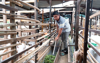 An Giang: Nông dân Châu Thành thi đua sản xuất kinh doanh giỏi, xuất hiện nhiều tỷ phú, triệu phú nông dân
