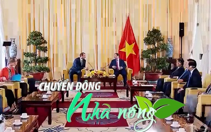 Chuyển động Nhà nông 29/11: Thủ tướng đề nghị EC xem xét sớm gỡ bỏ thẻ vàng IUU cho Việt Nam