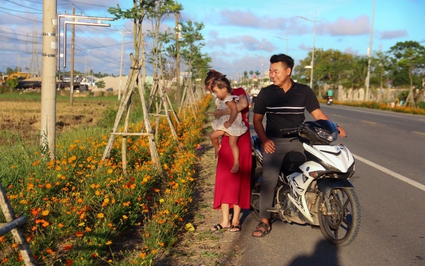 Đường hoa sao nhái khiến giới trẻ "phát sốt" cứ quay phim, chụp ảnh ở huyện Xuyên Mộc của Bà Rịa-Vũng Tàu