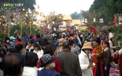 Hàng nghìn người đổ về check in tại Lễ hội hoa Mê Linh 2022