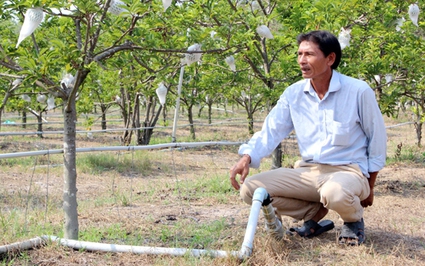 Tây Ninh vẫn chưa có vùng nông nghiệp công nghệ cao, vì sao vậy?