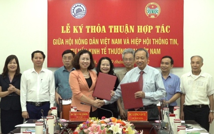 Phó Chủ tịch TƯ Hội NDVN Bùi Thị Thơm: "Hoạt động sản xuất cần gắn với thông tin thị trường nông nghiệp"