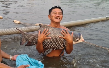 Nuôi loài cá suýt tuyệt chủng, nông dân này ở Tiền Giang thu tiền tỷ 