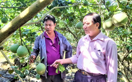 Vùng đất này ở Đồng Nai xưa nghèo rớt nay đổi đời nhờ trồng cây trái đặc sản, có nhà lời hơn 1 tỷ/năm