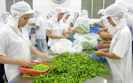 Trung Quốc sẽ phối hợp với Việt Nam hướng dẫn doanh nghiệp thực hiện quy định mới về nhập khẩu nông sản