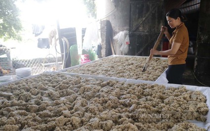 Hà Nam: Độc đáo với loại ẩm thực được làm từ gạo nếp và 36 vị thuốc bắc