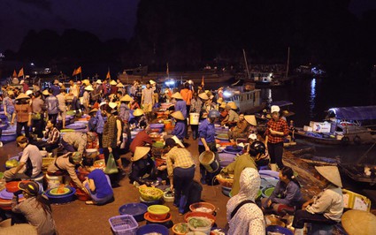 Top những chợ hải sản giá rẻ, tươi ngon du khách thỏa thích tìm mua tại Cửa Lò