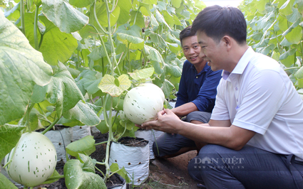 Video: Chương trình Tự hào Nông dân Việt Nam 2023 tôn vinh 163 nông dân xuất sắc, HTX tiêu biểu