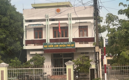 Một kiểm lâm tại Bình Định bị kiểm điểm vì để "cạo trắng" rừng phòng hộ nhưng "không hề hay biết"?